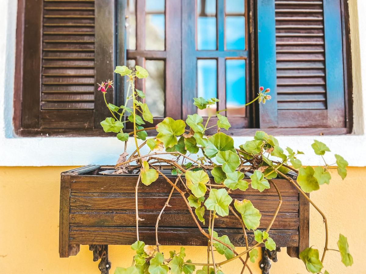 Pousada Flor De Ipe São Bento do Sapucaí Dış mekan fotoğraf